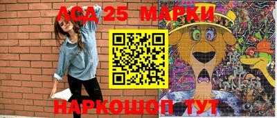 гидропоника Будённовск