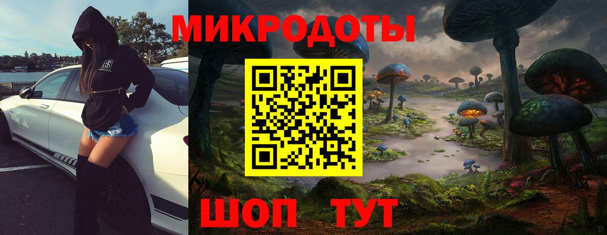 Усть-Кут  Галлюциногенные грибы мицелий  Вход с VPN 
